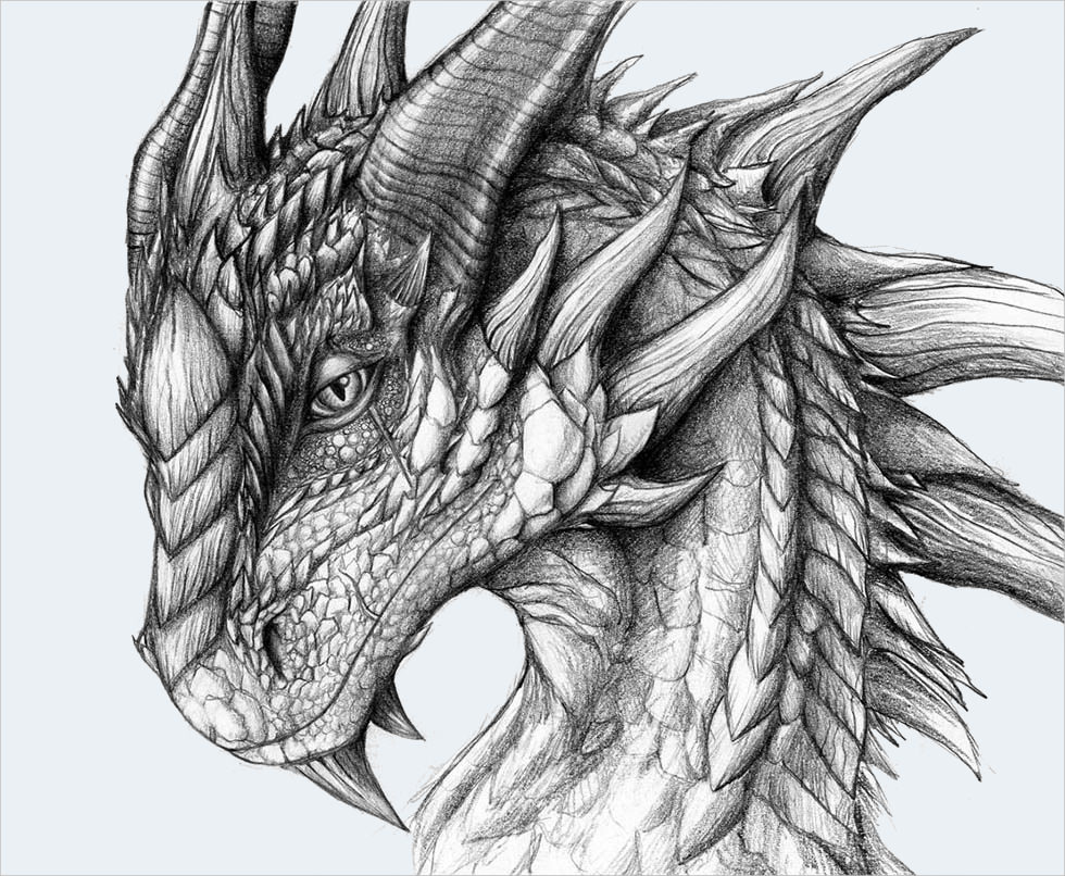 21+ Realistic Dragon Drawings Free & Premium Creatives